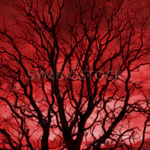Creepy016.jpg